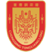 重庆铜梁龙 logo